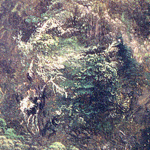 Drawing, Hillside Covered with bushes & trees, July 1865