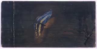 Drawing, Butterfly over Water