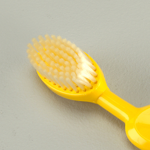 The Radius Toothbrush, 1983