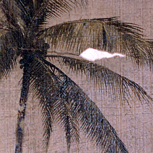 Drawing, Trunk and top of a palm tree, 1865