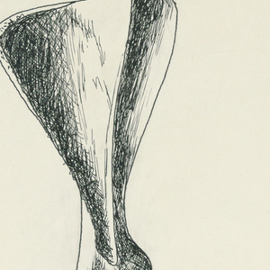 Drawing, Bone sections...