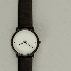 Bank Watch, 1980