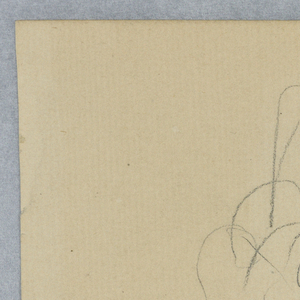 Drawing (SPAIN & U.S.)