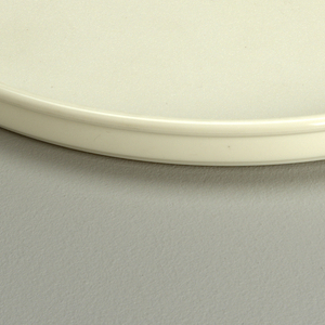 Plate, Dinner