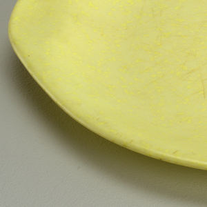 Residential Dinner Plate