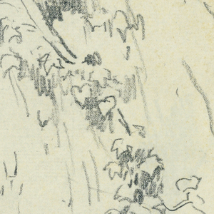 Drawing (SPAIN & U.S.)