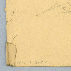 Drawing (SPAIN & U.S.)