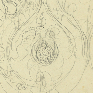 Drawing (SPAIN & U.S.)