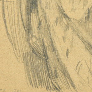 Drawing (SPAIN & U.S.)
