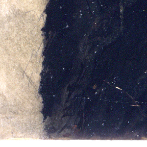 Drawing, Study of a tree trunk, 1850–60