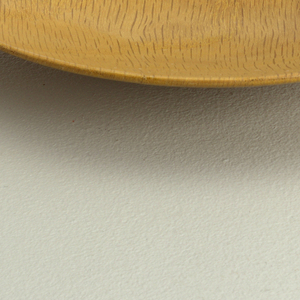 Dish