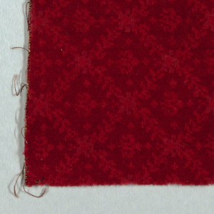 Carpet Fragment (USA), ca. 1870