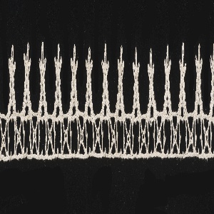 Borders