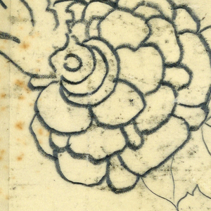 Drawing (USA)