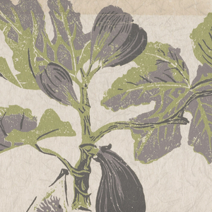 Sidewall, Pomegranate and Pineapple, 1954
