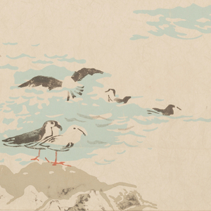 Sidewall, Gulls, 1954