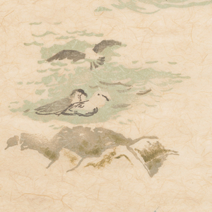 Sidewall, Gulls, 1954