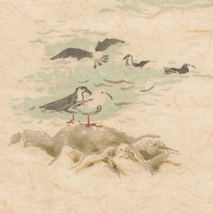 Sidewall, Gulls, 1954