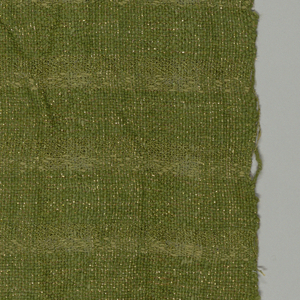 Panel (USA)