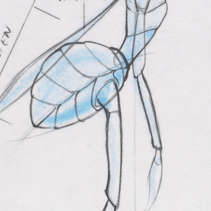 Model Packet, Atta, A Bug