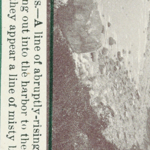 Playing Card