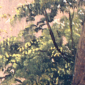 Drawing, Woodland study, July 1865