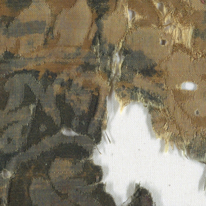Fragment (China)