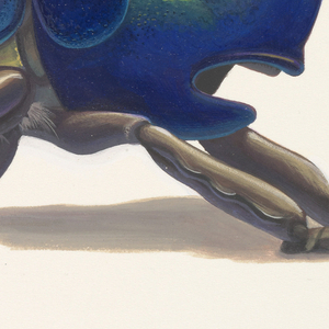 Concept Art, Dim Final Color Scheme, A Bug
