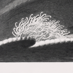 Concept Art, Home Reef, Finding Nemo, 2003