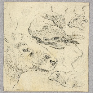 Drawing, Drawing: Sketches of cows, ca. 1800