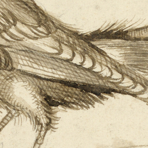 Drawing (Italy)
