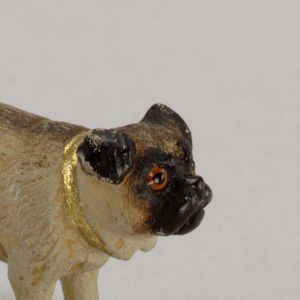 dog Miniature
