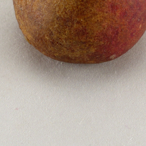 Ornament, Christmas Tree (USA), 1850–99