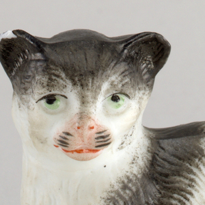 cat Miniature