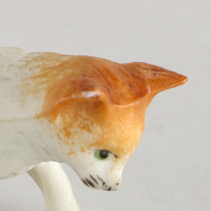 cat Miniature