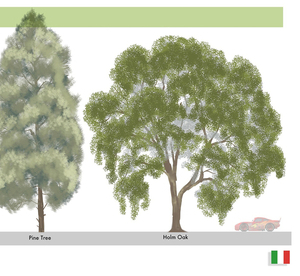 Model Packet, Vegetation Lineup, Cars 2, 2011