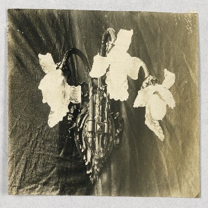 Photograph (USA)