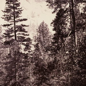 Photograph, North Dome, Yosemite, 1861–66
