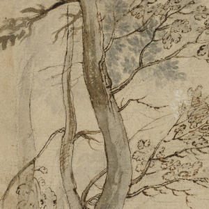 Drawing, Study of Trees, 17th–19th century