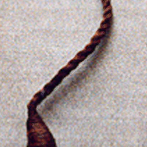 Fish Hook