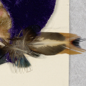 Place Card