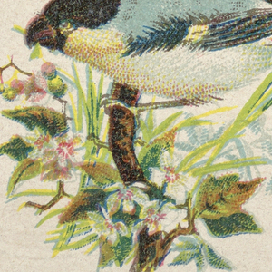 Calling Card