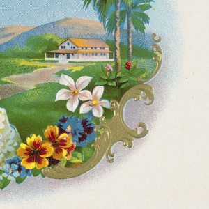 Cigar Label