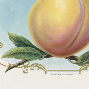 Cigar Label