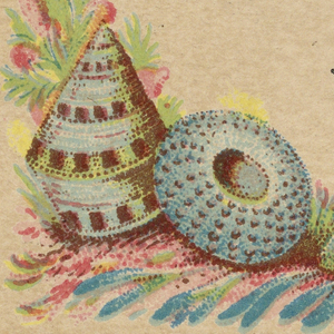 Calling Card