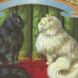 Cigar Label