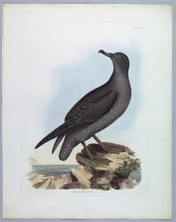 Print