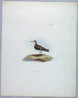 Print