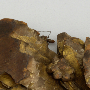 Fragment