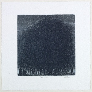 Print (USA)